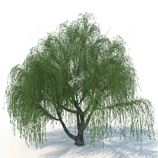 Willow Tree System Unit 3D model image 1