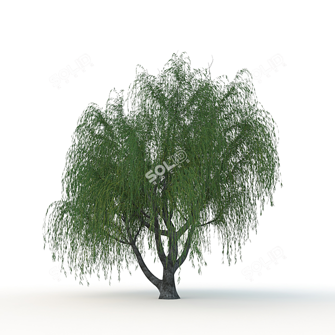 Willow Tree System Unit 3D model image 3