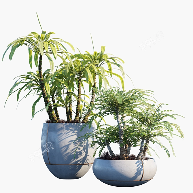 Evergreen Potted Plant #25: Lush & Low-Maintenance 3D model image 1