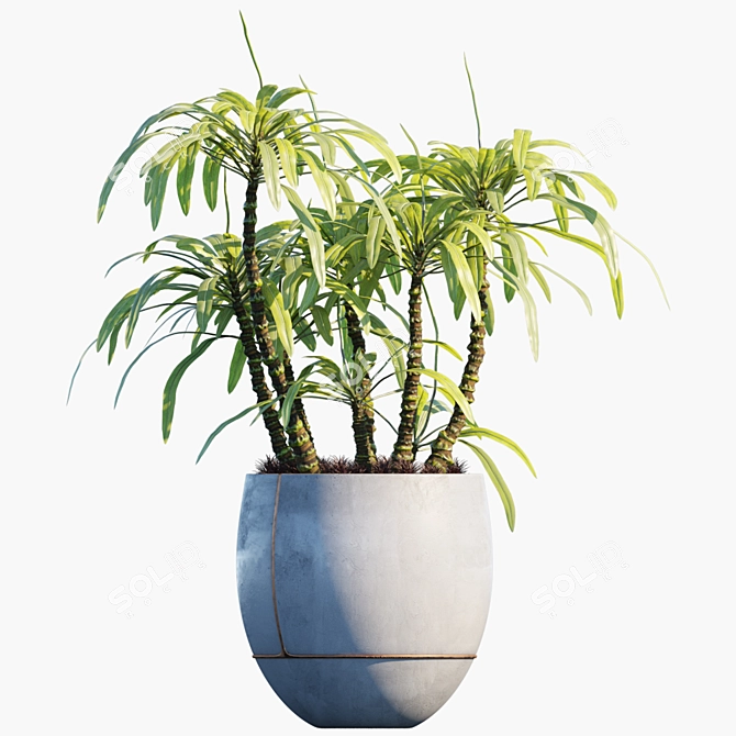 Evergreen Potted Plant #25: Lush & Low-Maintenance 3D model image 2