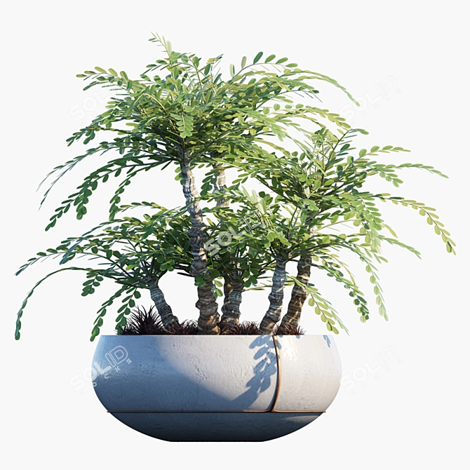 Evergreen Potted Plant #25: Lush & Low-Maintenance 3D model image 3
