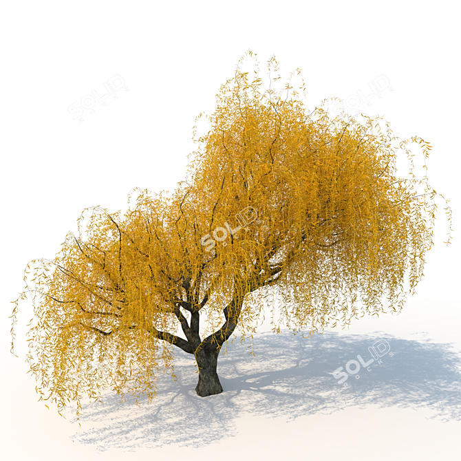 Willow Tree 3D Model Kit 3D model image 1