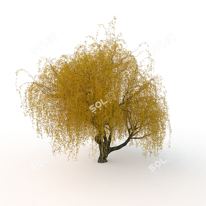 Willow Tree 3D Model Kit 3D model image 3