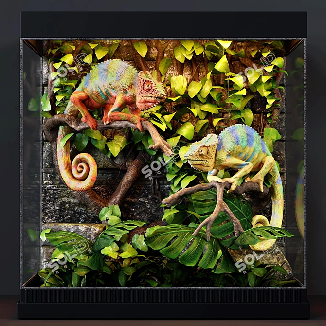 Tropical Chameleon Terrarium 3D model image 1