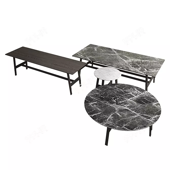 Aany Coffee Table: Sleek and Chic 3D model image 1