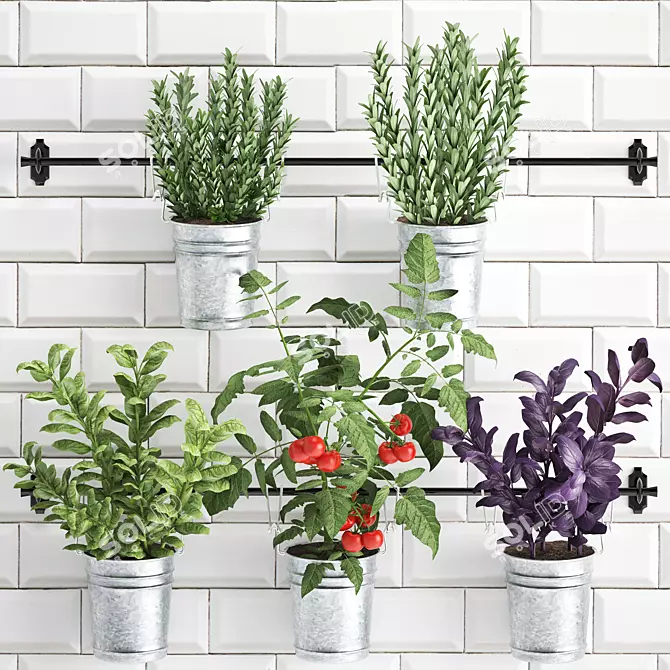 Kitchen Rail with Exotic Plants 3D model image 1