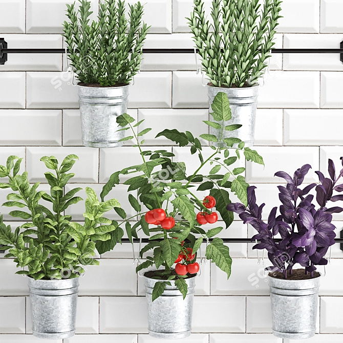 Kitchen Rail with Exotic Plants 3D model image 2