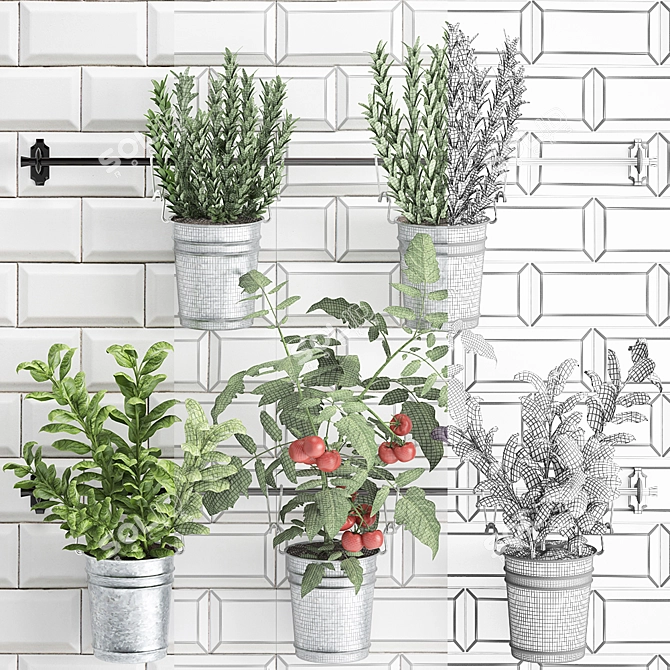 Kitchen Rail with Exotic Plants 3D model image 3