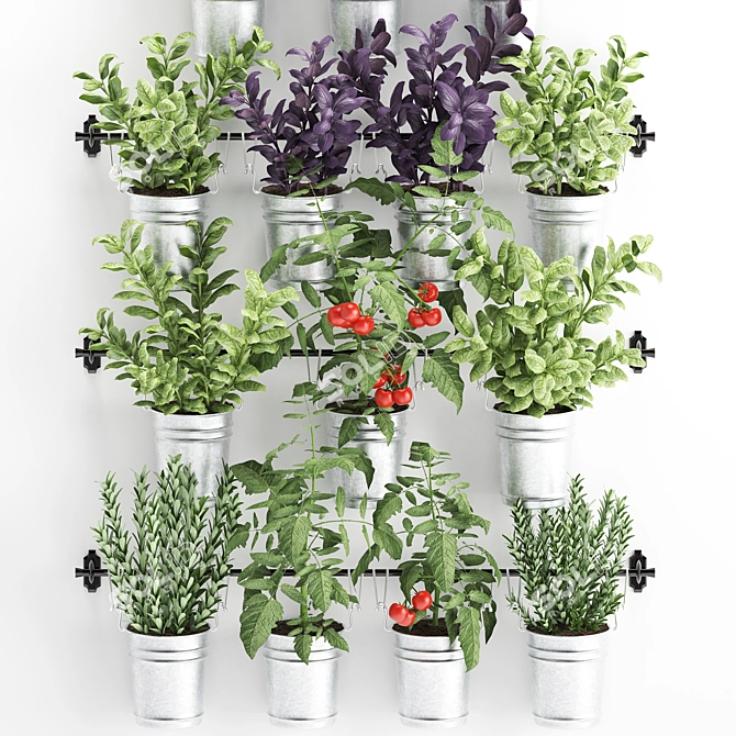 Vertical Oasis: Exotic Houseplant Collection 3D model image 2