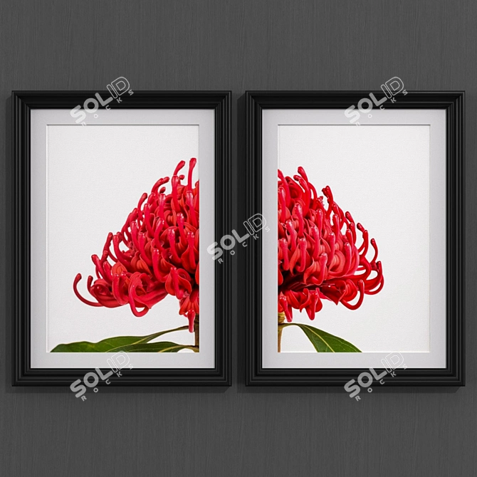 Modern Style Australian Flower Collection 3D model image 1