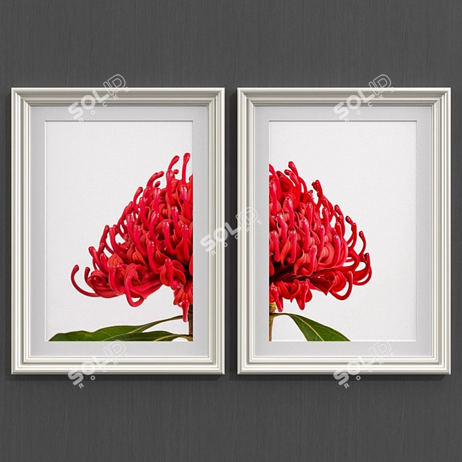 Modern Style Australian Flower Collection 3D model image 2