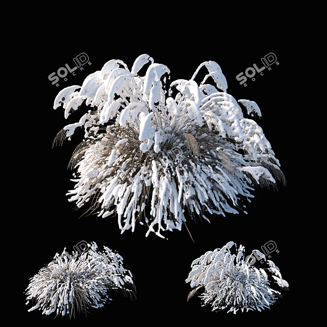 Elegant Winter Model: Miscanthus sinensis 3D model image 1
