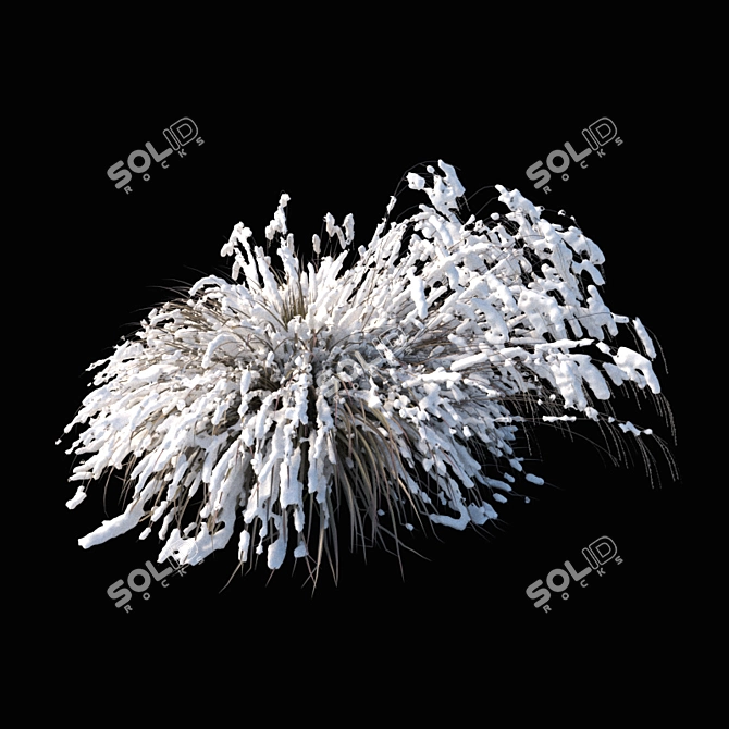 Elegant Winter Model: Miscanthus sinensis 3D model image 2