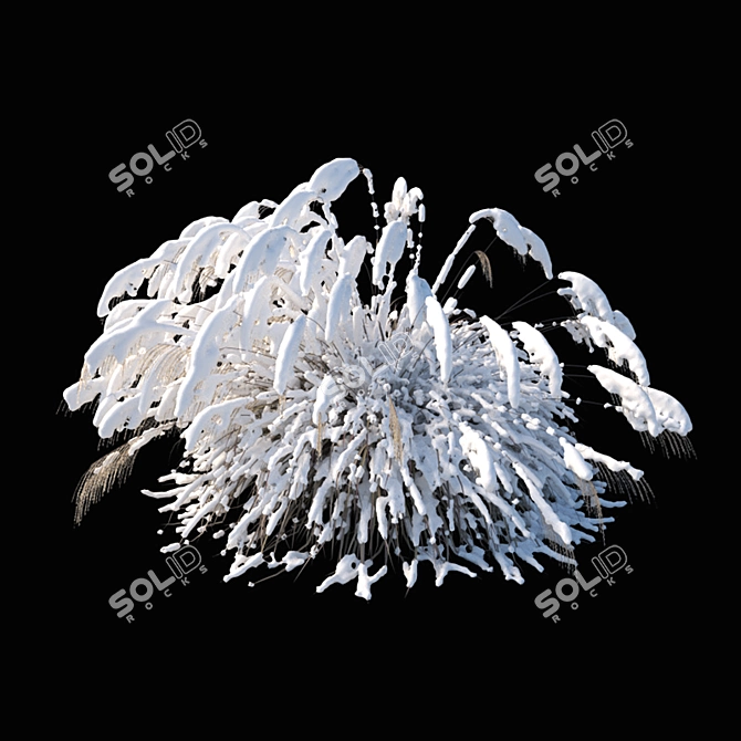 Elegant Winter Model: Miscanthus sinensis 3D model image 3