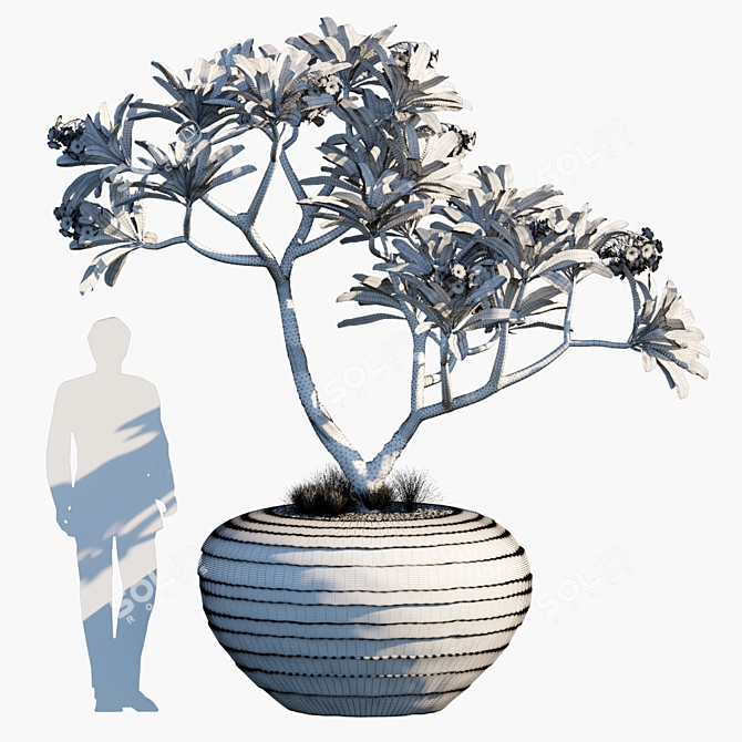 Blossoming Beauty: Plant in Pots 3D model image 2