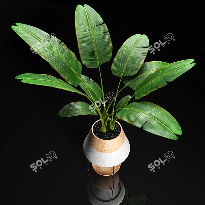 Modern Banana Tree Artwork: High-Quality Interior Decor 3D model image 1