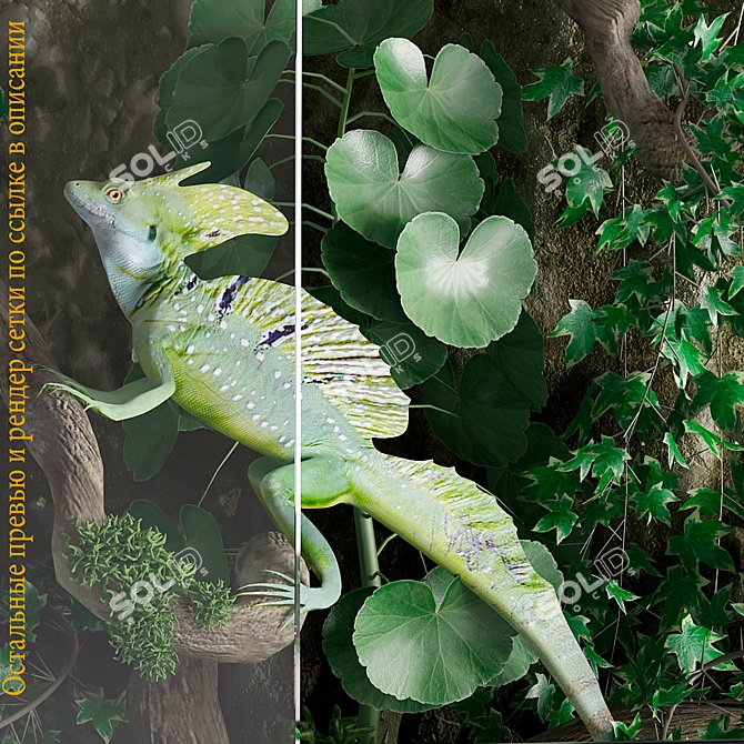 Basilisk Terrarium: Stunning Reptile Habitat 3D model image 3