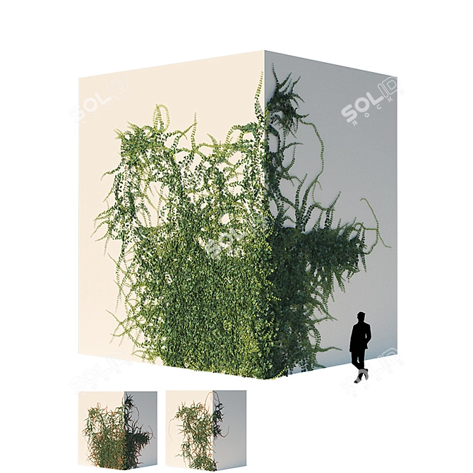 Evergreen Ivy Wall 3D model image 1