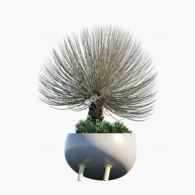 Desert Vibes: Pot #27 3D model image 3