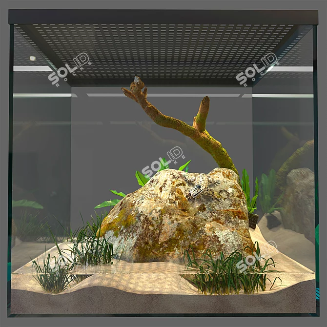 Gecko Terrarium: Compact, Stylish & Easy-to-Maintain 3D model image 1