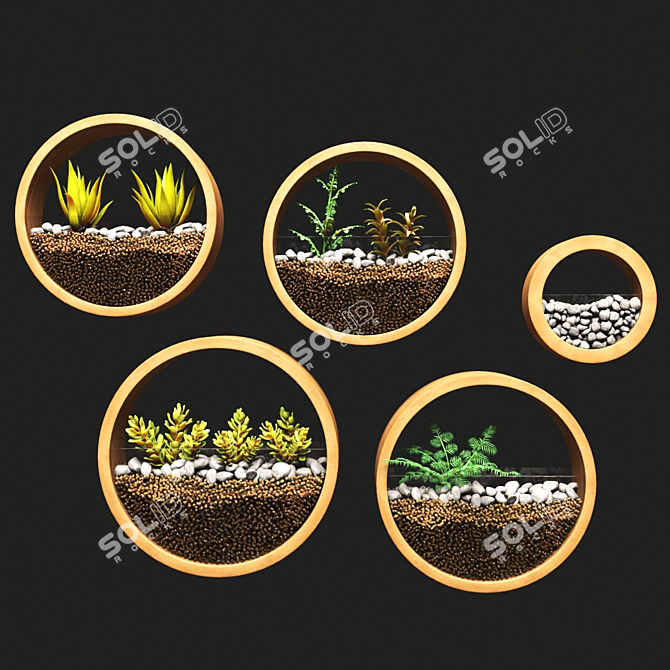 Ornamental Plant Collection 3D model image 1