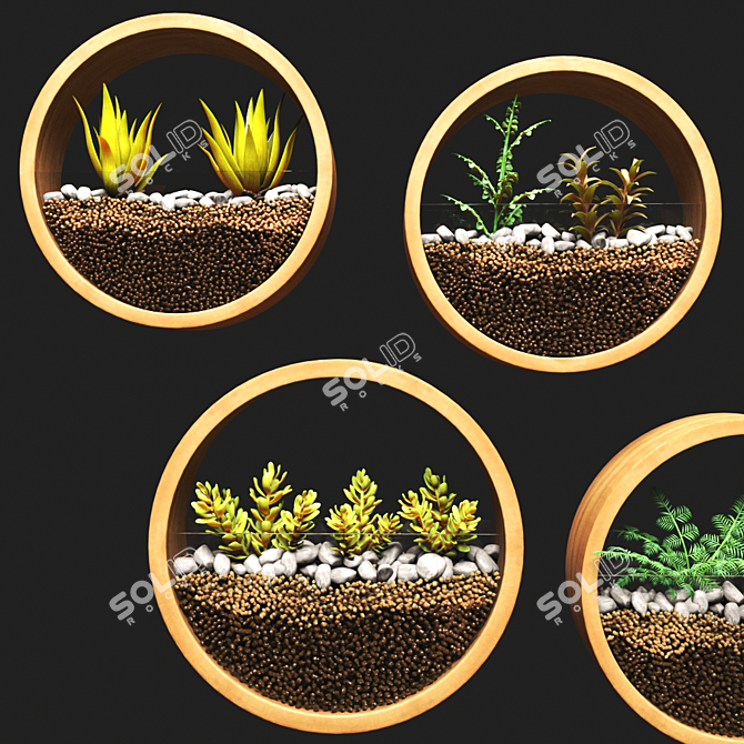 Ornamental Plant Collection 3D model image 2