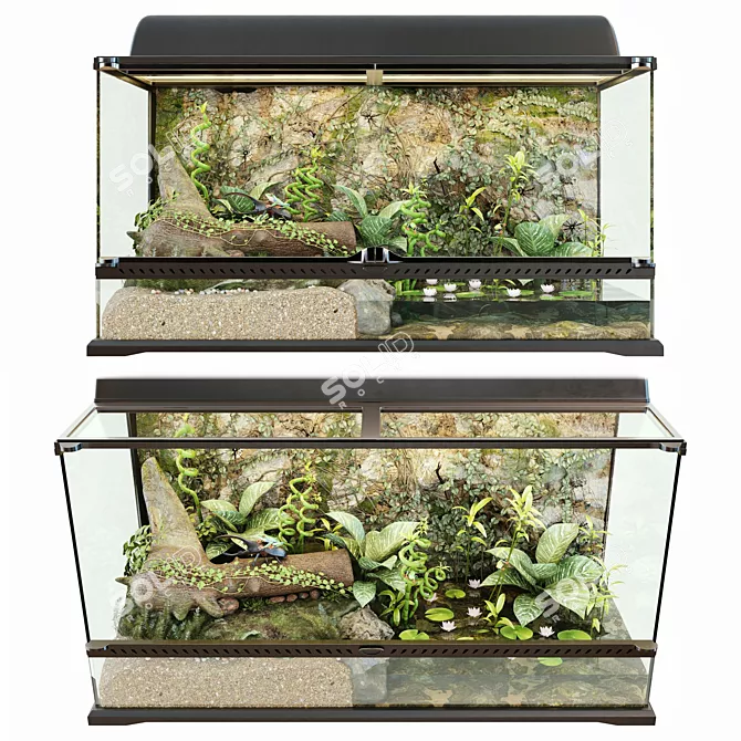 Luxurious Terrarium with Hercules Beetle and Red-Eyed Tree Frog 3D model image 1