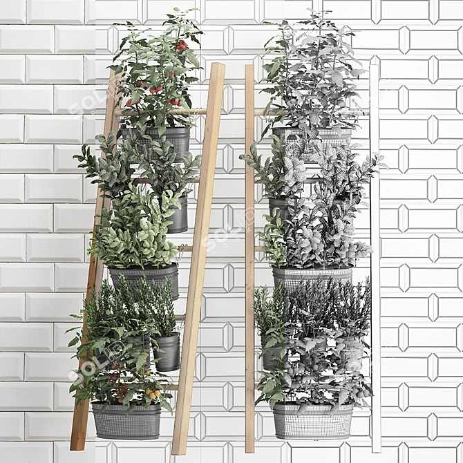 Vertical Garden Collection: Exotic Houseplants & Herbs 3D model image 3