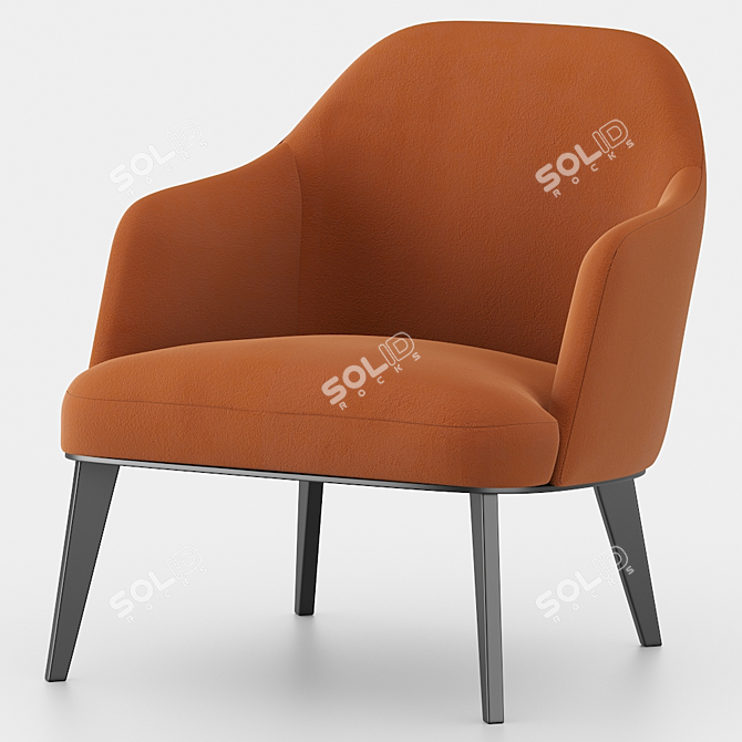 Poliform Jane: Stylish Armchair for Modern Living 3D model image 1