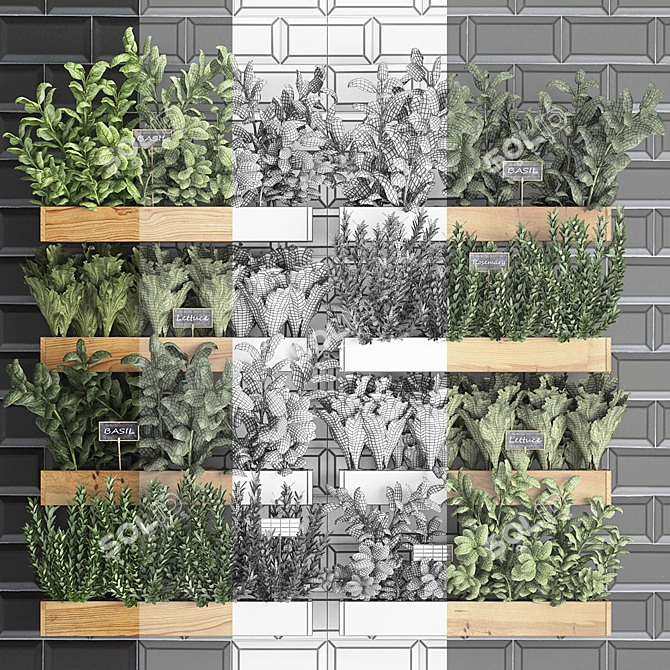 Vertical Garden Collection: Exotic Houseplants 3D model image 3