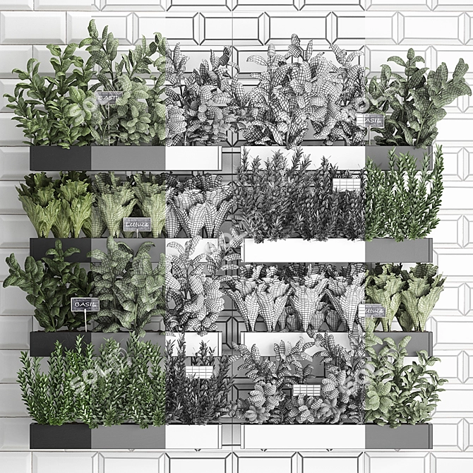 Vertical Garden: Exotic Houseplants & Herbs 3D model image 3