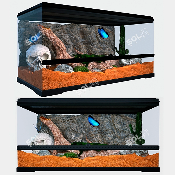  Exo-Terra Glass Terrarium Kit - Sand, Rocks, Branches & Cacti 3D model image 1