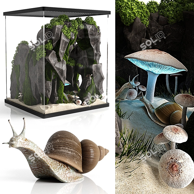 Giant African Snail Terrarium 3D model image 1