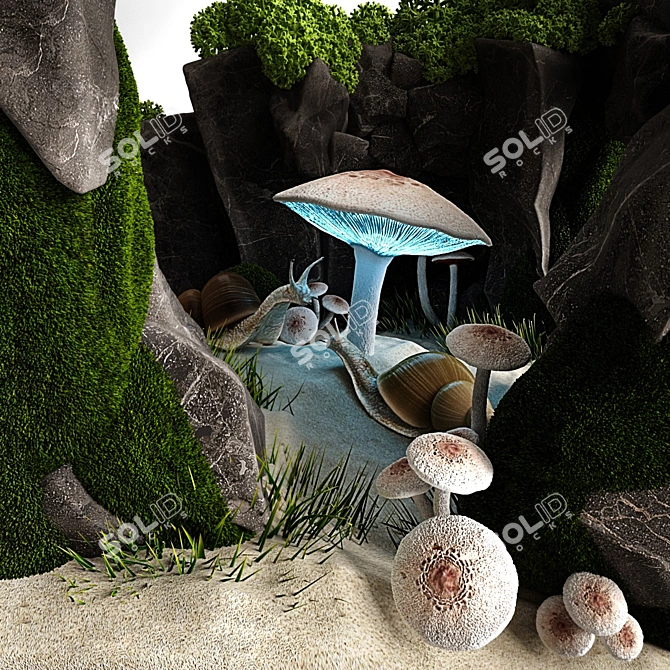 Giant African Snail Terrarium 3D model image 2