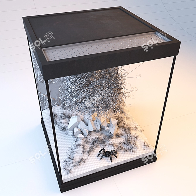 Spider's Lair: Terrarium for Bird-Eating Spiders 3D model image 3