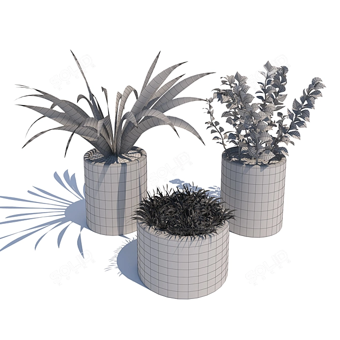 Green Oasis: Assorted Plant Collection 3D model image 3