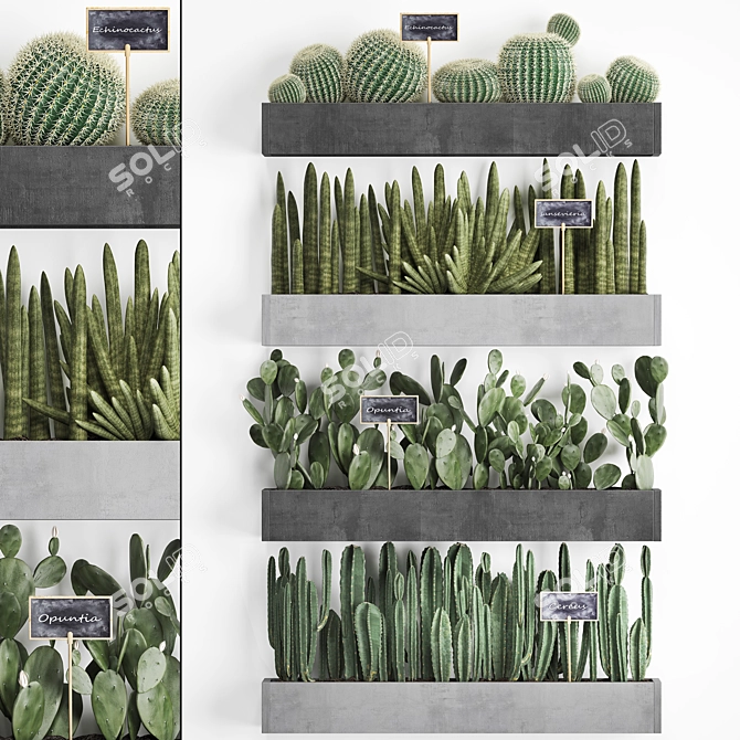 Vertical Oasis: Exotic Houseplants & Cacti 3D model image 1