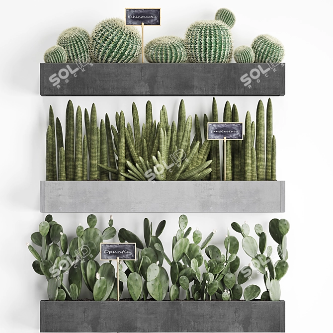 Vertical Oasis: Exotic Houseplants & Cacti 3D model image 2