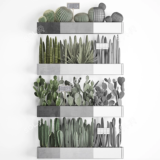 Vertical Oasis: Exotic Houseplants & Cacti 3D model image 3