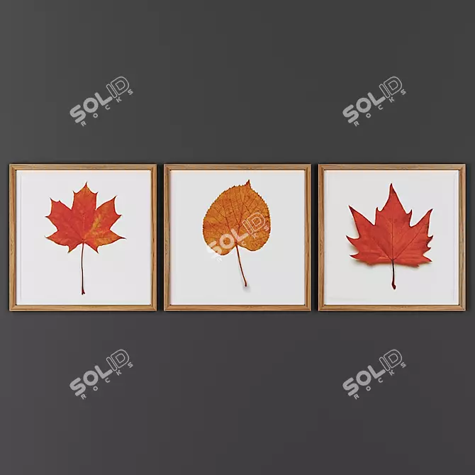 Wooden Frame Picture Set 3D model image 1