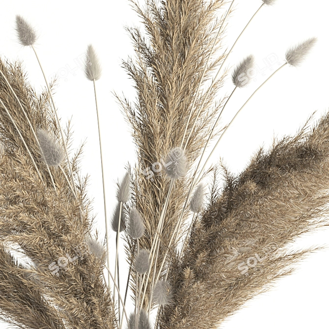 Natural Pampas Grass Bouquet 3D model image 2