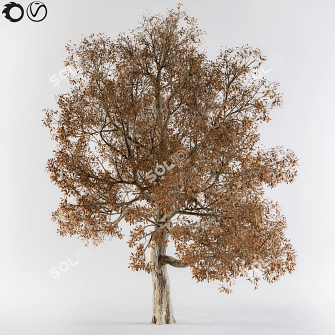 Autumn Tree Broadleaf: Burst of Colors! 3D model image 1