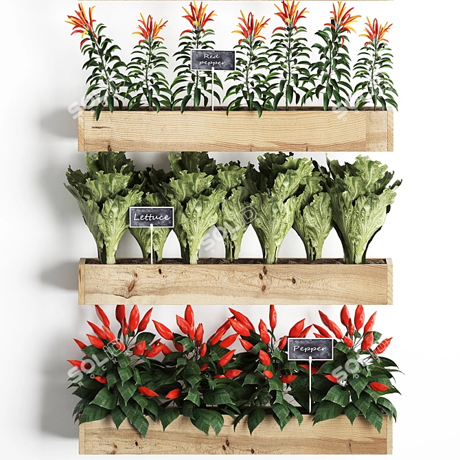Vertical Garden: Exotic Plants for Kitchen Décor 3D model image 2
