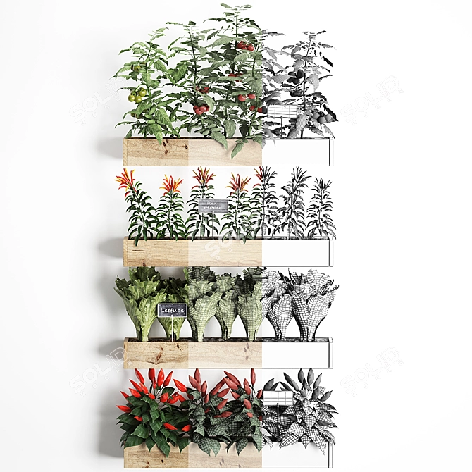 Vertical Garden: Exotic Plants for Kitchen Décor 3D model image 3