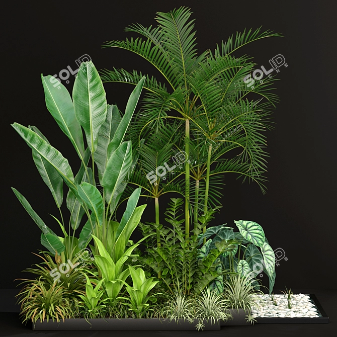 198 Plants Collection: Variety and Beauty 3D model image 2