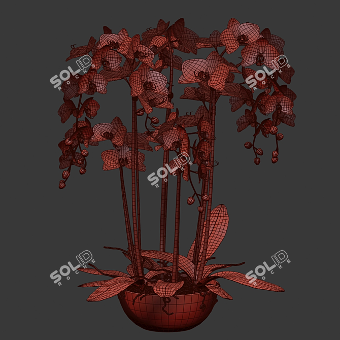 Blue Island Orchid - Detailed 3D Model 3D model image 3