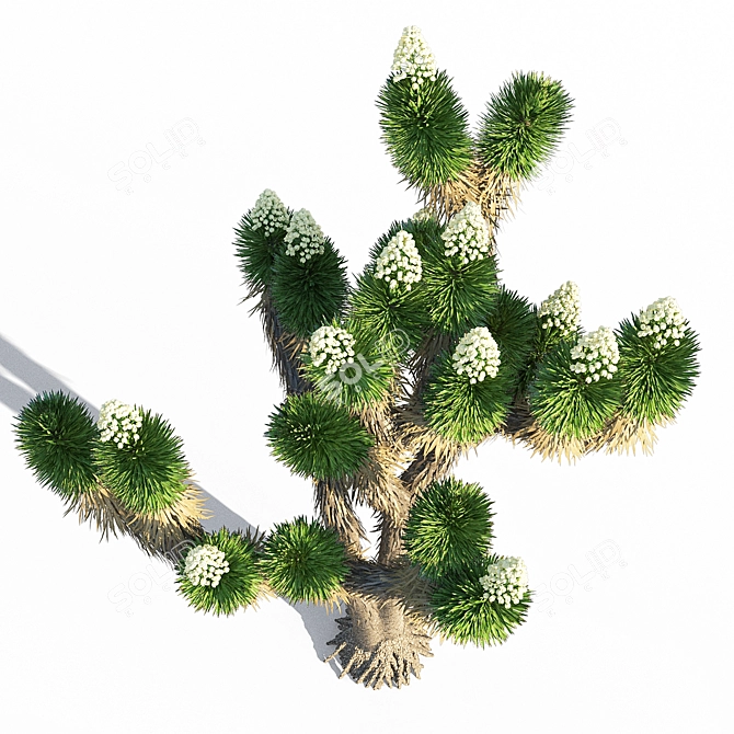 Sleek Joshua Tree Sculpture 3D model image 2