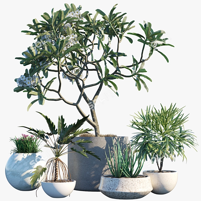 Tropical Oasis Planter: Plumeria, Bamboo Palm, and More! 3D model image 1