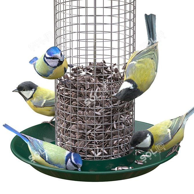 Garden Bird Feeder with Great Tits and Blue Tits 3D model image 2