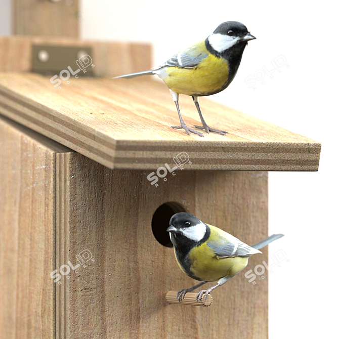 Great Tits: Artificial Nest for Garden Birds 3D model image 2